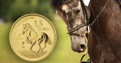 Конь за $130 млн или ТОП 10 самых дорогих лошадей мира
