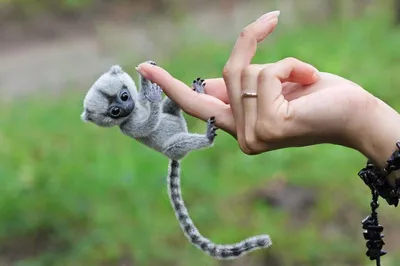 Игрунка это самая маленькая обезьянка…» — создано в Шедевруме