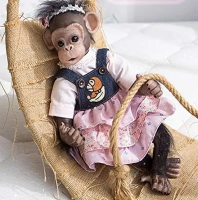 маленькая обезьянка смотрит в камеру, картинка обезьяны, обезьяна, животное  фон картинки и Фото для бесплатной загрузки
