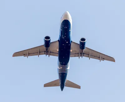 Авиакомпания \"ВИМ-Авиа\" представила первый самолет Airbus А319 - AEX.RU