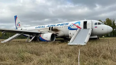 Airbus А320 авиакомпании \"Ямал\" совершил вынужденную посадку в  Санкт-Петербурге из-за отказа пилотажно-навигационного комплекса - AEX.RU