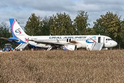 Настоящее чудо\": эксперты подробно разобрали посадку самолета А-320 с  пассажирами в поле под Новосибирском - TOPNews.RU