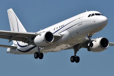 Глава «Уральских авиалиний» назвал причину аварийной посадки Airbus A320 в  поле | НДН.Инфо