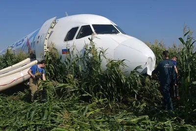 Я себя героем нисколько не ощущаю»: командир А321 рассказал о посадке  самолета на поле с кукурузой | Forbes.ru