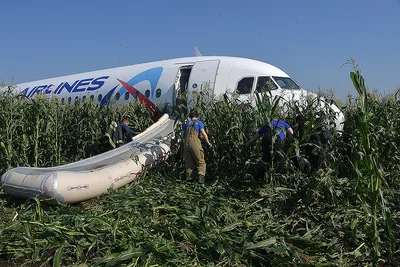 МАК назвал причину жесткой посадки самолета А321 на кукурузном поле:  Общество: Облгазета