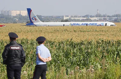 На месте крушения российского самолета А-321 в Египте обнаружены четверо  выживших - Новости Тулы и области - MySlo.ru