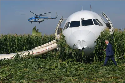 МАК: Самолет А321 разрушился в воздухе – DW – 01.11.2015