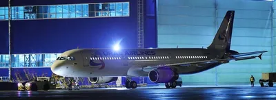 Аренда самолёта Airbus A321neo в Москве