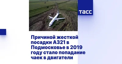 Среди пассажиров самолета А-321 \"Уральских авиалиний\" были армяне