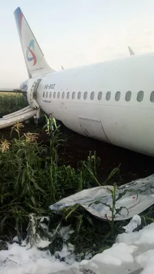 При аварийной посадке самолета А321 пострадали 55 человек - РИА Новости,  15.08.2019