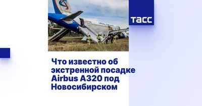 Стала известна судьба самолета, севшего в пшеничном поле под Новосибирском  - Газета.Ru | Новости