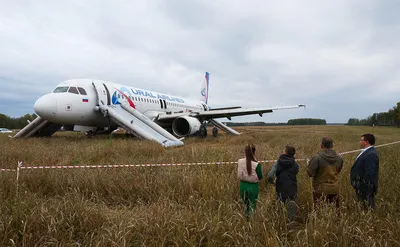 Уральские авиалинии» рассказали о дальнейшей судьбе судна Airbus A320