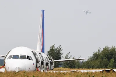 В Египте разбился российский Airbus А321 — РБК