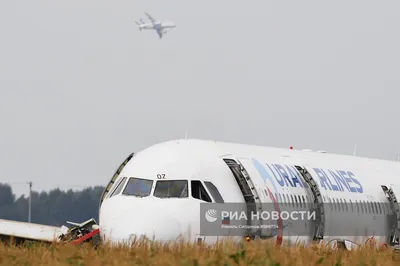 Airbus А321 «Уральских авиалиний» столкнулся с птицами