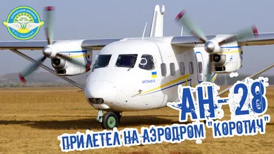 В Томской области обнаружен пропавший самолет Ан-28, пассажиры живы |  Euronews