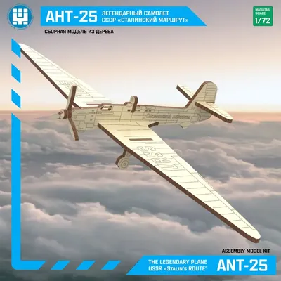 АНТ-25 (РД) - Самолёты Страны Советов