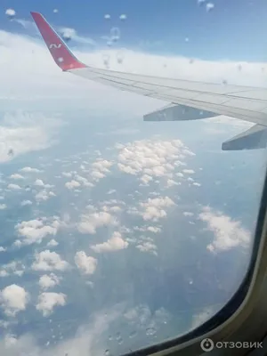 Летевший из Уфы в Пхукет самолет авиакомпании Nordwind перенаправили в  Москву - ТАСС