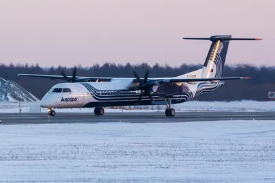 Самолет \"Авроры\" выкатился при посадке за пределы ВПП на Чукотке... -  AviaPages.ru