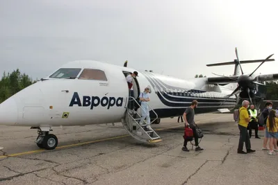Лайнер сахалинской авиакомпании «Аврора» совершил аварийную посадку в  Красноярске - KP.RU