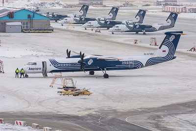 Китай становится ближе: \"Аврора\" с 28 марта запускает прямые рейсы из  Владивостока в Пекин - PrimaMedia.ru