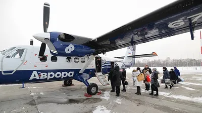 Авиакомпания \"Аврора\" в течение ближайших лет удвоит количество Аirbus A319  в своем парке - AEX.RU