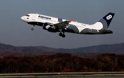 РБК: авиакомпании «Аврора» не хватает самолетов из-за поломок и санкций