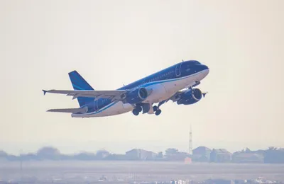 Авиакомпания AZAL увеличивает количество рейсов Азербайджан-Израиль - STMEGI