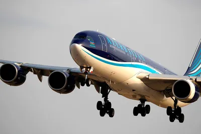 Авиакомпания Azal начала полеты из Баку в Ургенч - AviaPages.ru