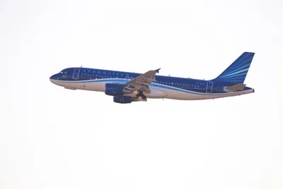Самолёт AZAL вернулся в аэропорт Баку из-за столкновения с птицей