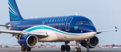 Аэропорт \"Внуково\" встретил 600-тысячного пассажира авиакомпании AZAL -  AEX.RU