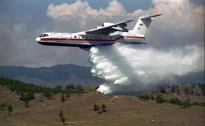 Россия отправила самолеты-амфибии в Турцию для борьбы с лесными пожарами —  РБК