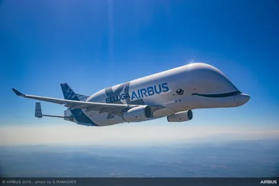Самый большой транспортный самолет Airbus Beluga XL
