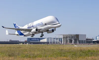 Airbus построит самую большую Beluga XL