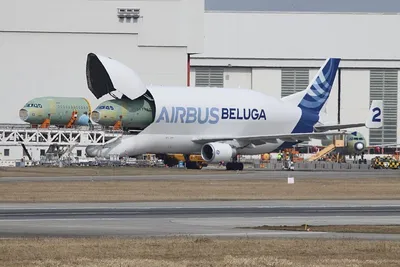 Airbus Beluga ST. Грузовой самолет, который притягивает взгляды | Aviators  | Дзен