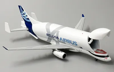 В Новосибирске приземлится редкий грузовой самолет Airbus Beluga | ОБЩЕСТВО  | АиФ Новосибирск