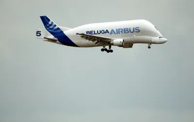 Купить 534284-001 Самолет Airbus INDUSTRIES BELUGA XL (A330-700L) 1:500 за  5 500 руб. в интернет-магазине ЕвроМодель