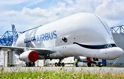 Самолет Airbus Beluga загорелся в небе над Германией - 26.02.2018, Sputnik  Беларусь