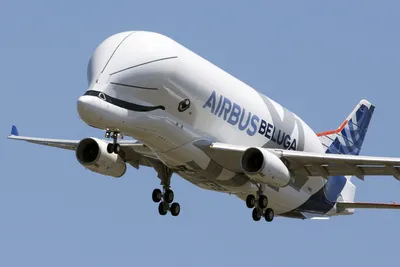 Airbus переводит самолеты Beluga на биотопливо - Новостной портал OleoScope