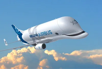 Aviasales - Beluga Airbus – наверное, самый милый самолёт в мире ❤️  Несмотря на милый внешний вид, это один из самых грузоподъёмных аэробусов,  способный перевозить до 53(!) тонн грузов 😱 🐳 Аэробус