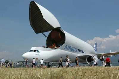 Момент удара молнии в самолет Airbus Beluga попал на видео