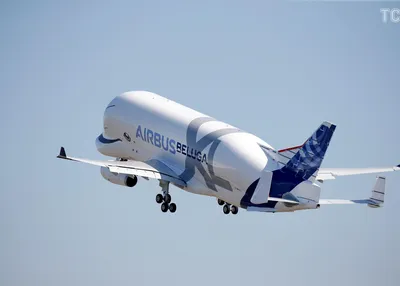 Самолет Airbus Beluga | Вполете.Онлайн | Дзен