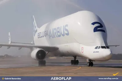 Самолеты Airbus Beluga ST на российском рынке | Новости отрасли