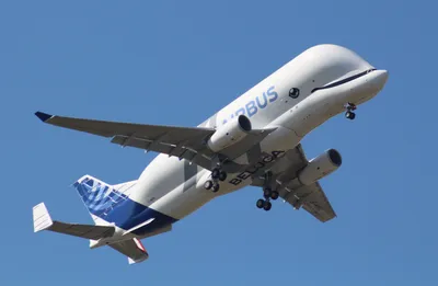 Airbus Beluga XL — Википедия