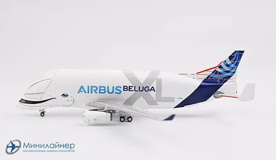 Самолеты с большими багажниками – от Pregnant Guppy до Beluga XL | Деловая  авиация в Армении