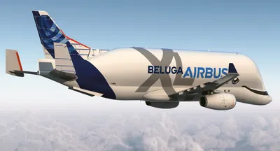 Редкий самолет Airbus Beluga улетел из Новосибирска в Сеул | ТРАНСПОРТ |  АиФ Новосибирск