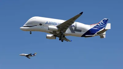 3D модель большого транспортного самолета Airbus Beluga XL 3D Модель $119 -  .3ds .blend .c4d .fbx .ma .obj .max - Free3D