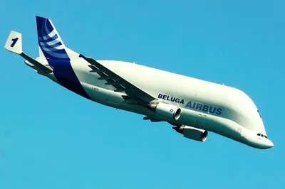 Модель самолета (Skymarks Airbus Beluga A300-600ST) купить в Киеве, Украина  - Книгоград