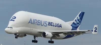 3D модель большого транспортного самолета Airbus Beluga XL 3D Модель $119 -  .3ds .blend .c4d .fbx .ma .obj .max - Free3D