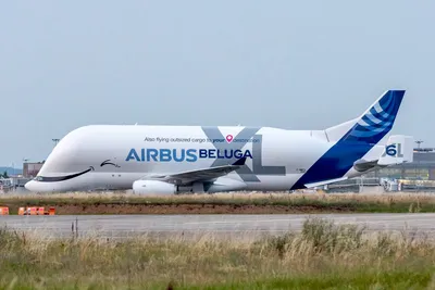 Новый тяжелый транспортный самолет A330-743L Beluga XL совершил первый  испытательный полет