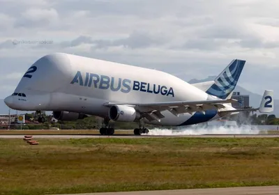 Скачать обои самолет, самолёт, Грузовой, Airbus, Beluga, A300, Airbus  Beluga, Super Transporter, раздел авиация в разрешении 3200x1800